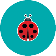 Ladybug Class at Little Angels