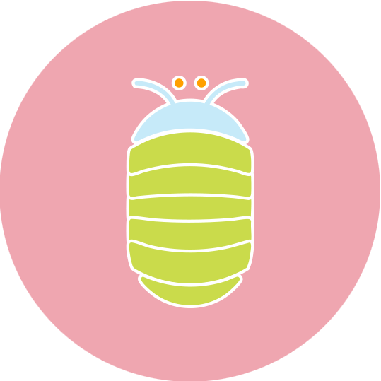 Roly Ploy Class at Little Angels